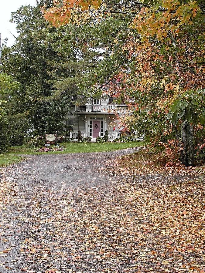 Briarwood Bed & Breakfast Elmsdale Exterior photo